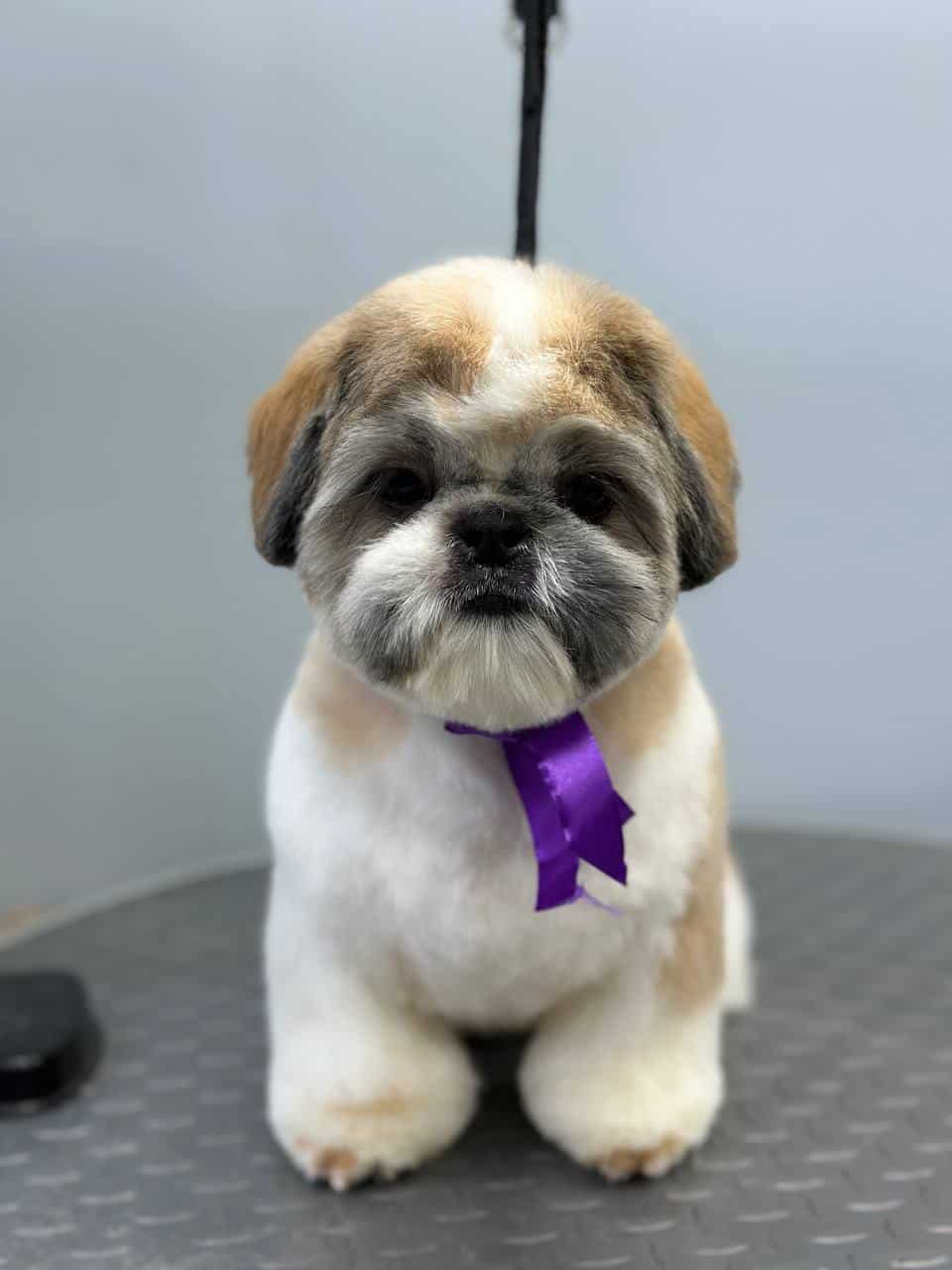 Работа Nicole Grooming