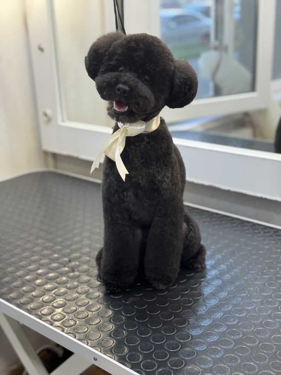 Работа Nicole Grooming